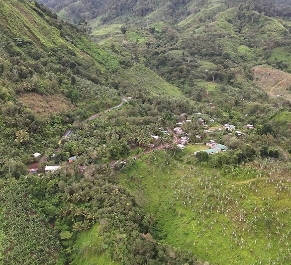 Yamog community landscape